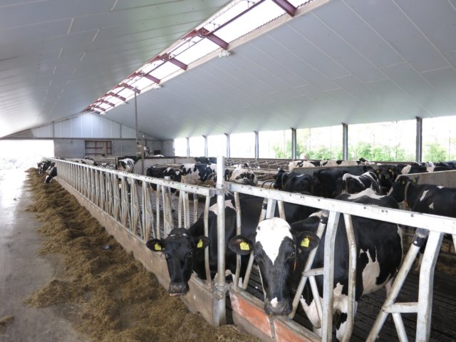 HWK Wekerom047.jpg
